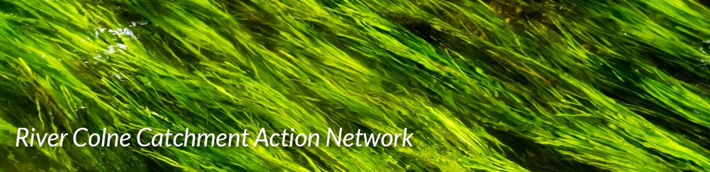 ColneCAN_homepage_header3.jpg